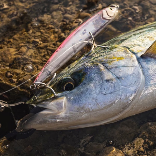 グラノダイブ175F　フラッシュブースト